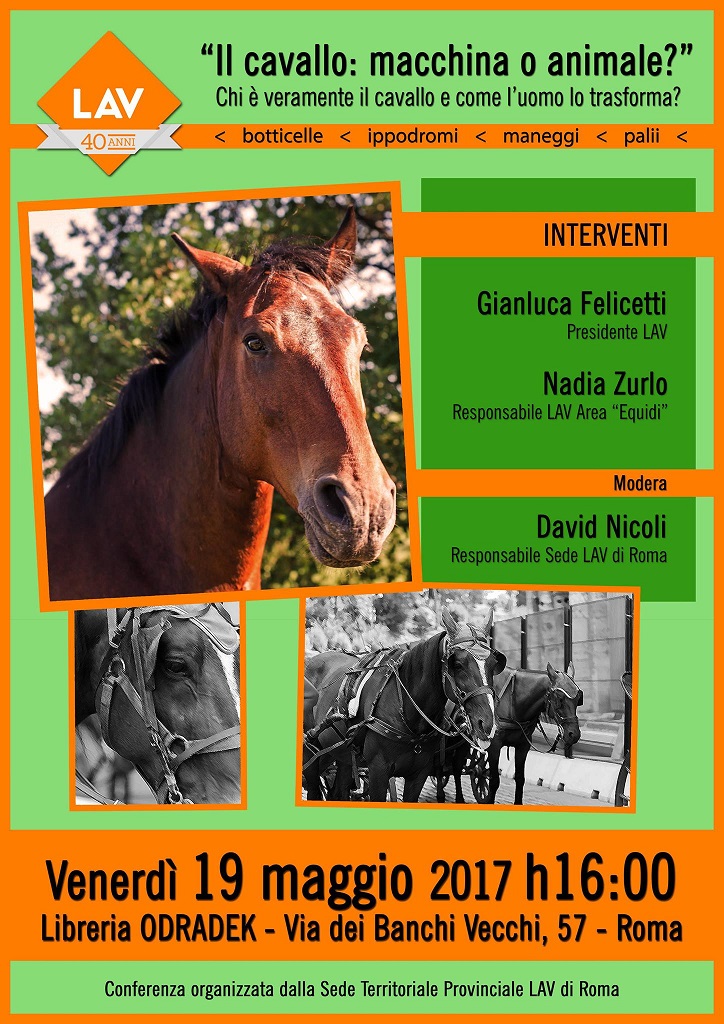 Conferenza LAV Roma “Il Cavallo: macchina o animale?”