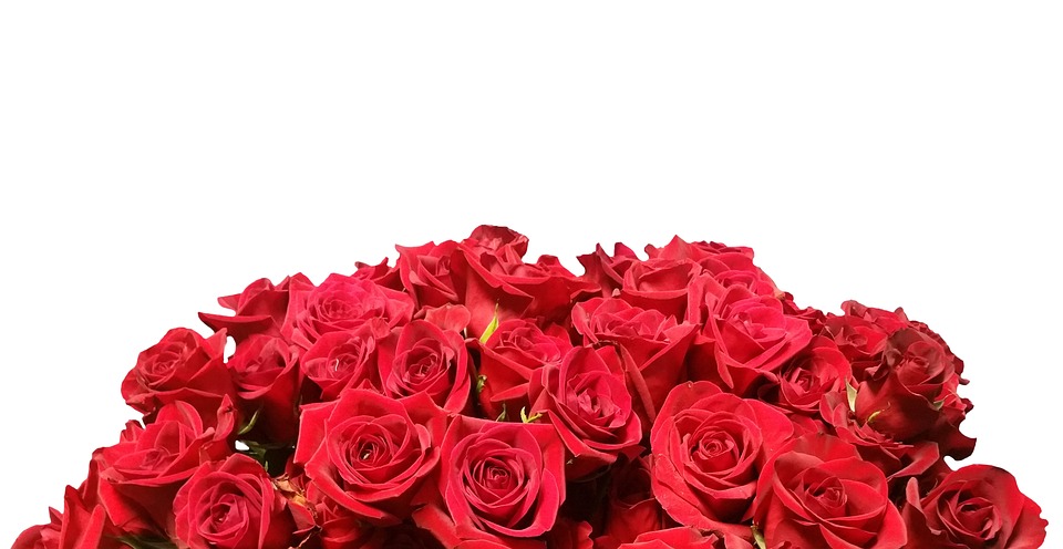 San Valentino: manuale anti-gaffe sul linguaggio dei fiori