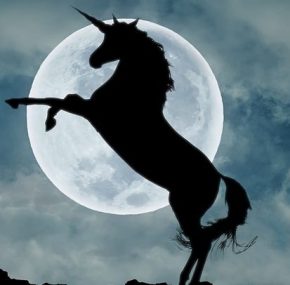 Unicorno: storia di una creatura leggendaria