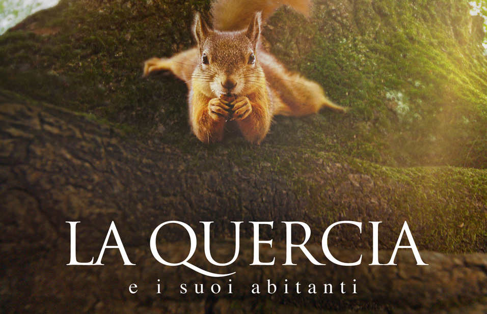 La quercia e i suoi abitanti, il film di Laurent Charbonnier e Michel Seydoux al cinema dal 25 gennaio